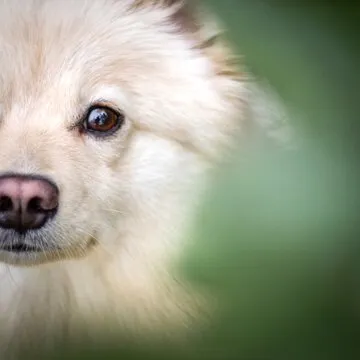 数据分析与洞察
